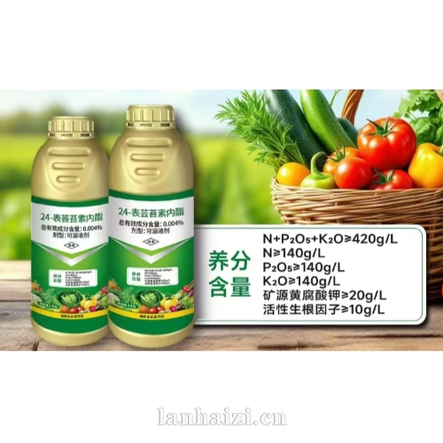 24-表芸苔素内酯