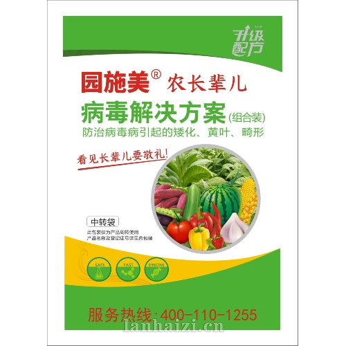 园施美 病毒解决方案