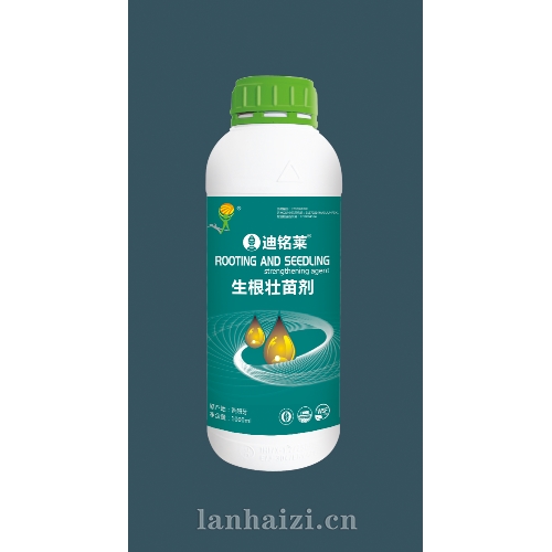 生根壮苗剂