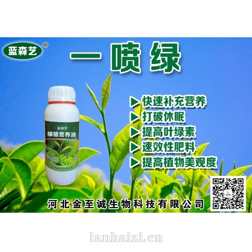 一喷绿 绿色营养液