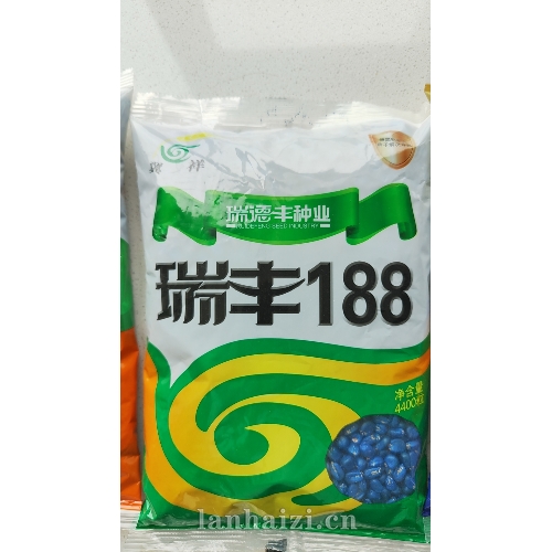 瑞丰188 玉米种子