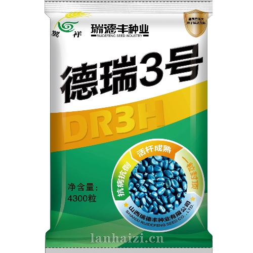 德瑞3号 玉米种子