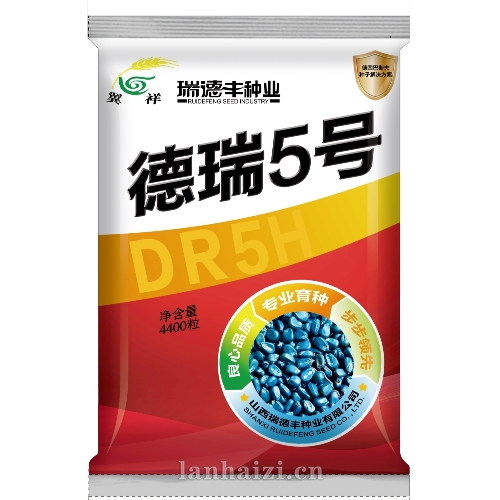 德瑞5号 玉米种子
