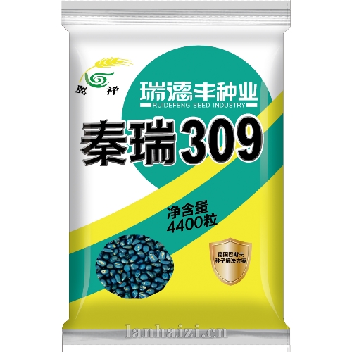 秦瑞309 玉米种子