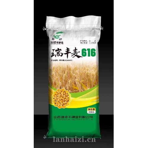 瑞丰麦616  小麦种子