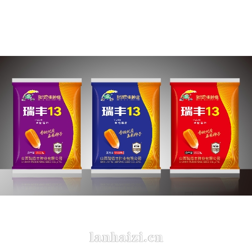 瑞丰13 玉米种子