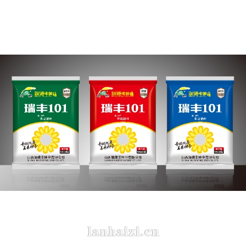 瑞丰101 玉米种子