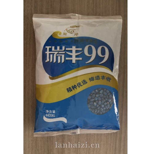 瑞丰99 玉米种子