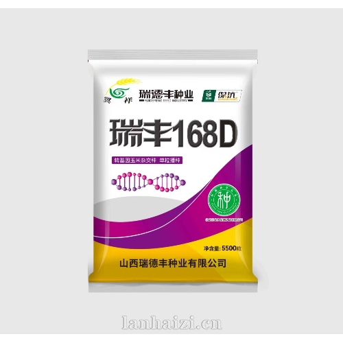 瑞丰168D  玉米种子