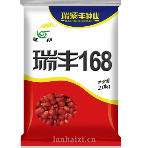瑞丰168 玉米种子