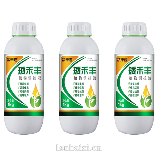矮禾丰植物调控液