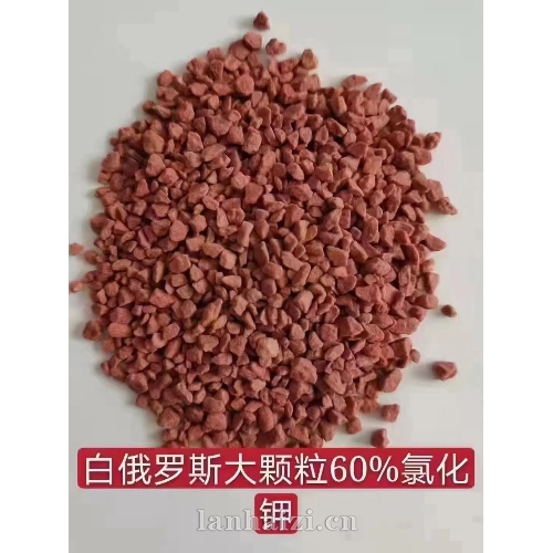 白俄罗斯大颗粒60%氯化钾