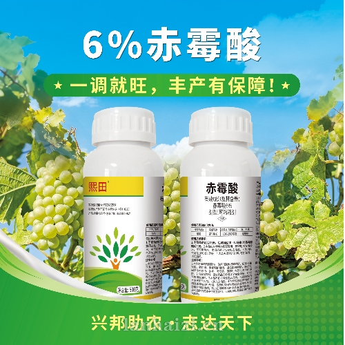 6%赤霉酸