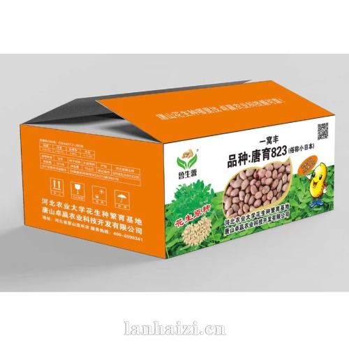 一窝丰 品种:唐育823 (俗称小日本）