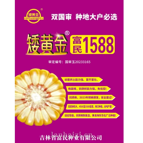 富民1588