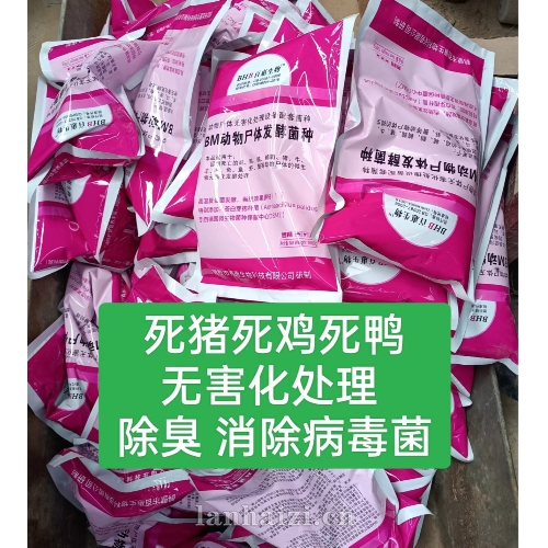 动物尸体发酵菌种