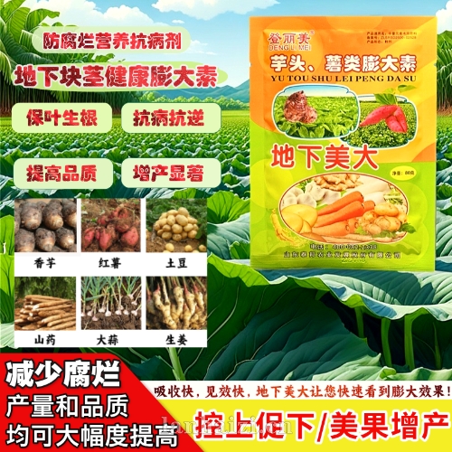 （登丽美）地下美大（芋头、薯类膨大素）