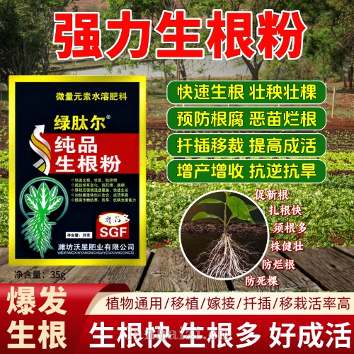 移栽缓苗慢？用纯品生根粉，快速扎根，解决根系不良，根深叶茂，长势旺产量高
