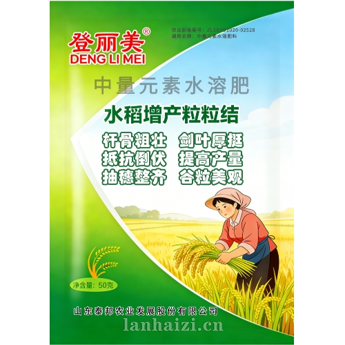 水稻增产粒粒结