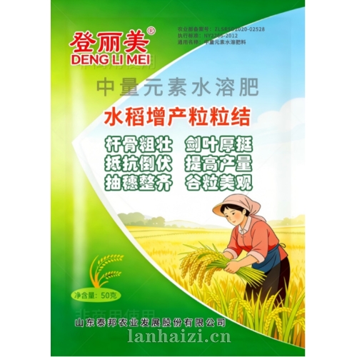 （登丽美）水稻增产粒粒结