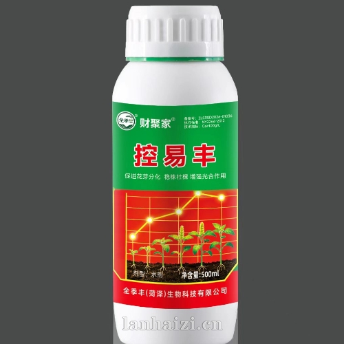控易丰