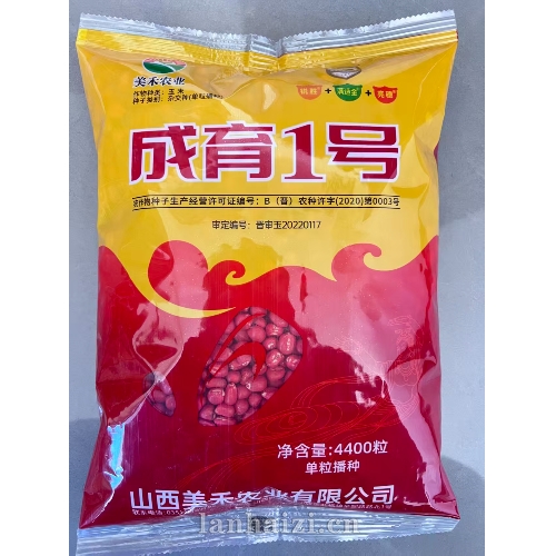 成育 1 号 玉米种子