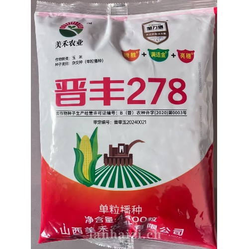 晋丰 278 玉米种子