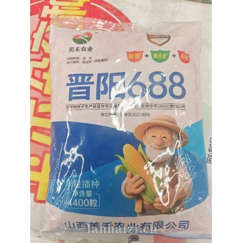 晋阳 688 玉米种子