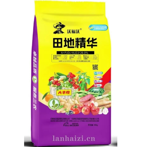 田地精华