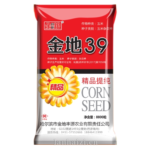 金地39 玉米种子