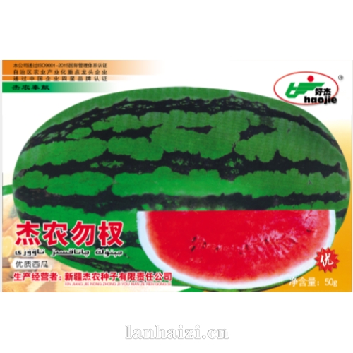 杰农勿杈 西瓜种子