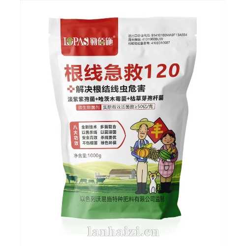 根线急救