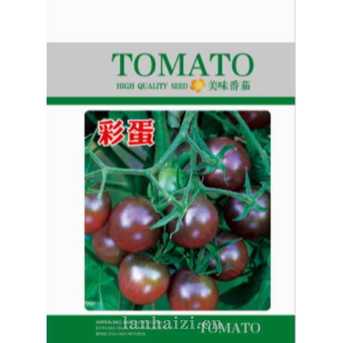 彩蛋番茄种子