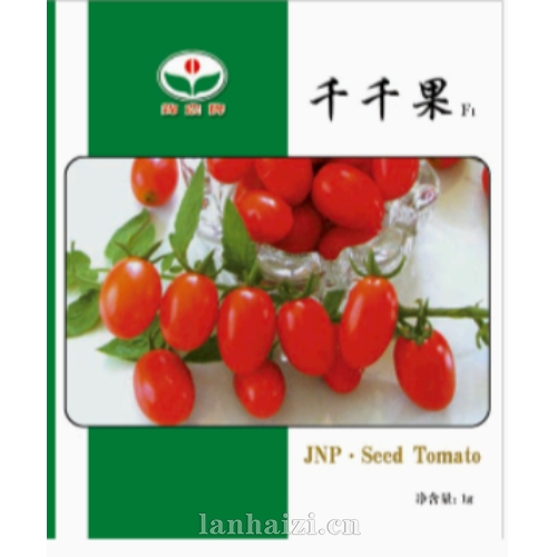 千千果番茄种子
