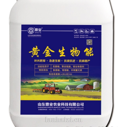黄金生物能-鼎业