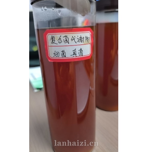 复合菌代谢物 细菌 真菌