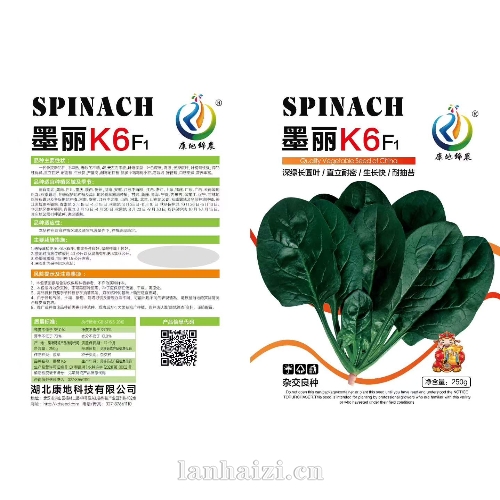 墨丽K6F1菠菜种子
