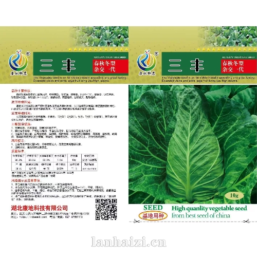 三丰 牛心甘蓝新品种