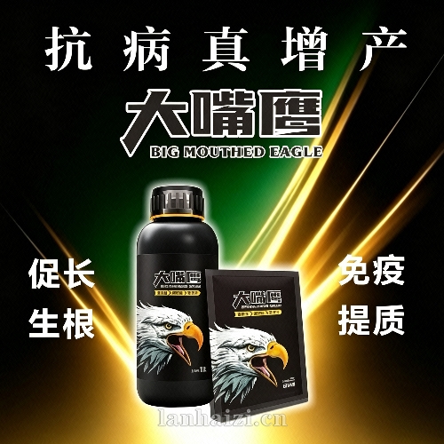 大嘴鹰-抗病增产