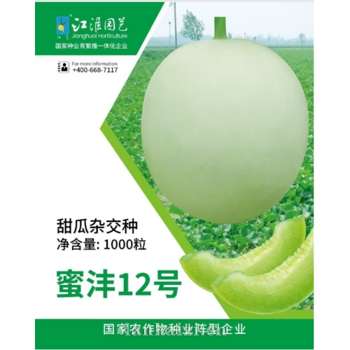 甜瓜种子