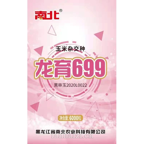 龙育699 杂交玉米种子