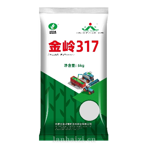 金岭317 玉米种子
