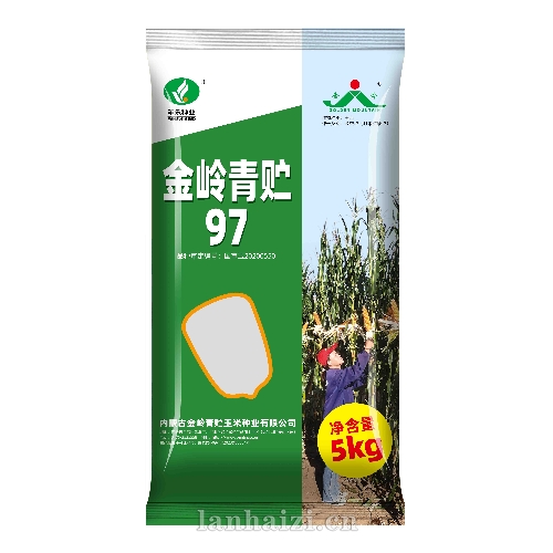 金岭青贮97 玉米种子