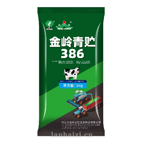 金岭青贮386 玉米种子