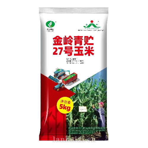 金岭青贮27号 玉米种子