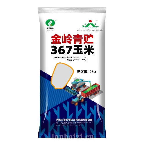 金岭青贮367 玉米种子