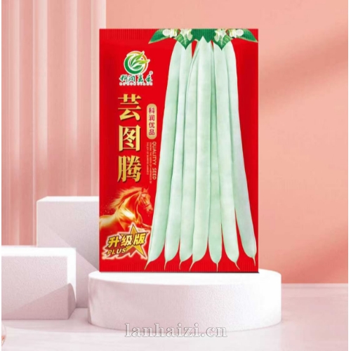架豆种子