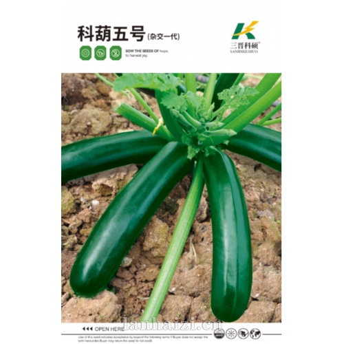 科葫五号(杂交一代) 西葫芦种子