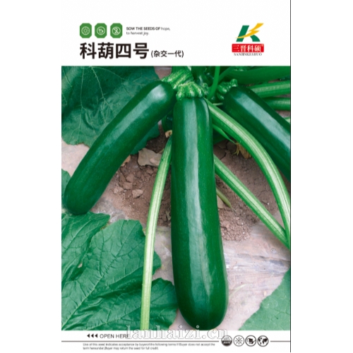 科葫四号(杂交一代) 西葫芦种子