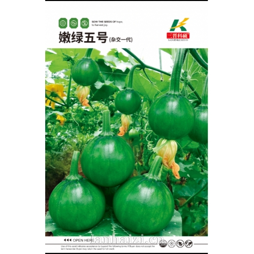 嫩绿五号(杂交一代) 南瓜种子